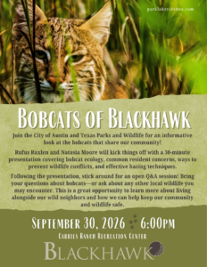 Green Bobcats of Blackhawk flyer with a photo of a bobcat.
