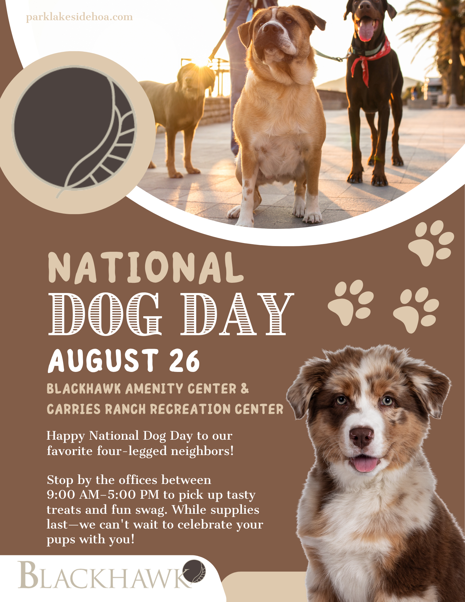 Promotional flyer for National Dog Day on August 26 featuring a warm brown and cream color palette. A large banner photo across the top shows three dogs on leashes walking outdoors at sunset. The Blackhawk leaf logo appears in the upper left, with the website “parklakesidehoa.com” above it. Large text reads “National Dog Day” followed by “August 26.” The event will take place at the Blackhawk Amenity Center and Carries Ranch Recreation Center. The flyer invites residents to stop by either office between 9:00 AM and 5:00 PM to pick up dog treats and swag while supplies last. Decorative paw prints are scattered across the design, and a large Australian Shepherd puppy is featured in the lower right corner. The Blackhawk logo appears along the bottom.